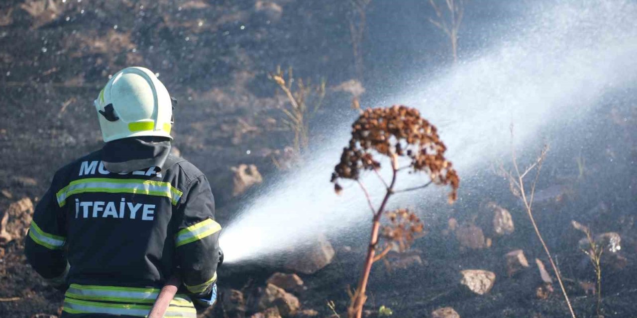 Bodrum’da otluk alanda çıkan yangın 5 dekarlık alanı küle çevirdi