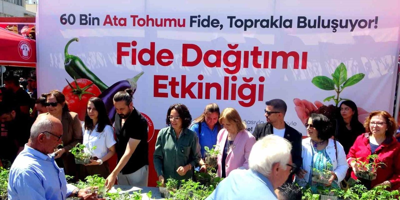 Menteşe Belediyesi 60 bin fide dağıttı