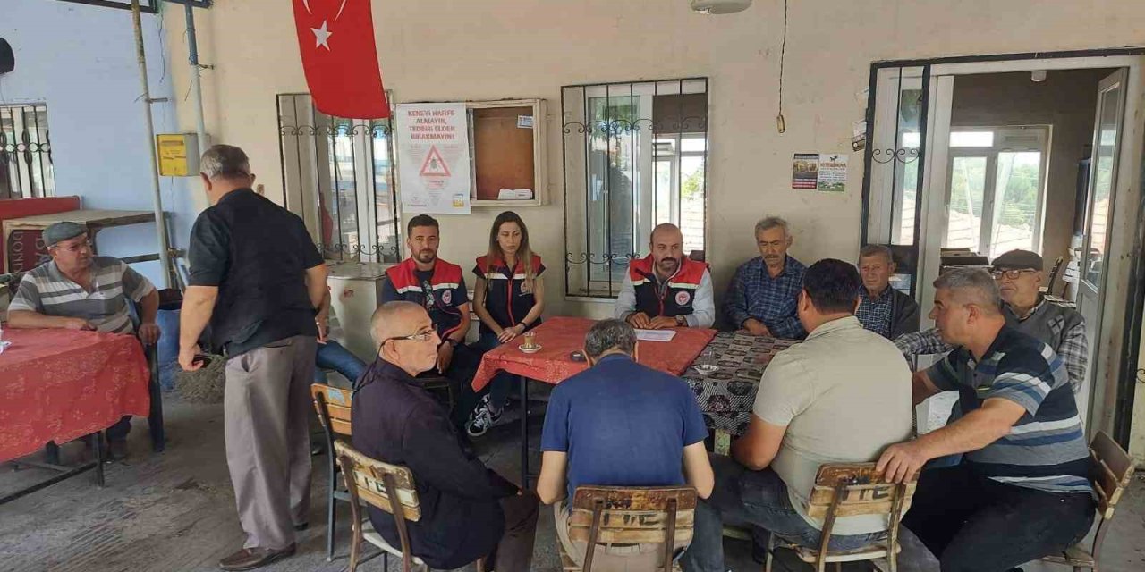 Pamuk ve zeytindeki zararlılarla mücadele yöntemi anlatıldı
