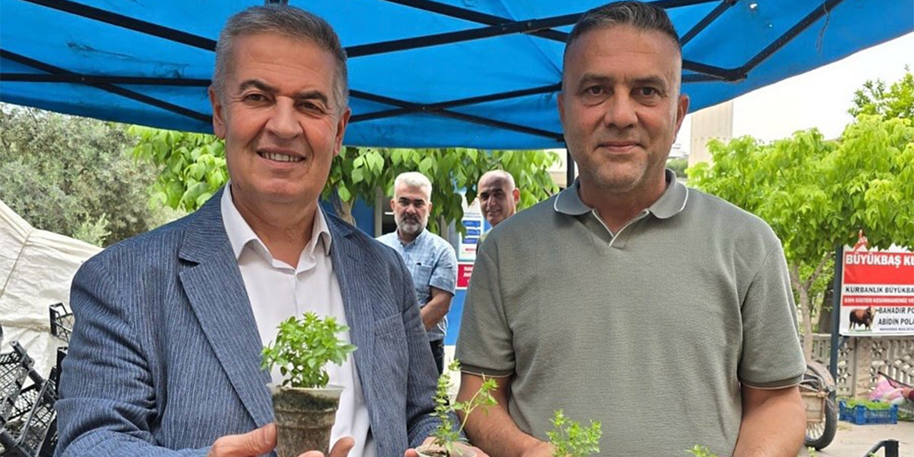 Doğal sivrisinek kovar fesleğenler yoğun ilgi gördü