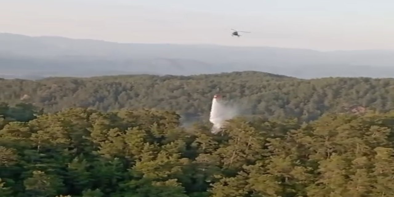 Muğla ve Aydın’daki orman yangınları büyümeden söndürüldü