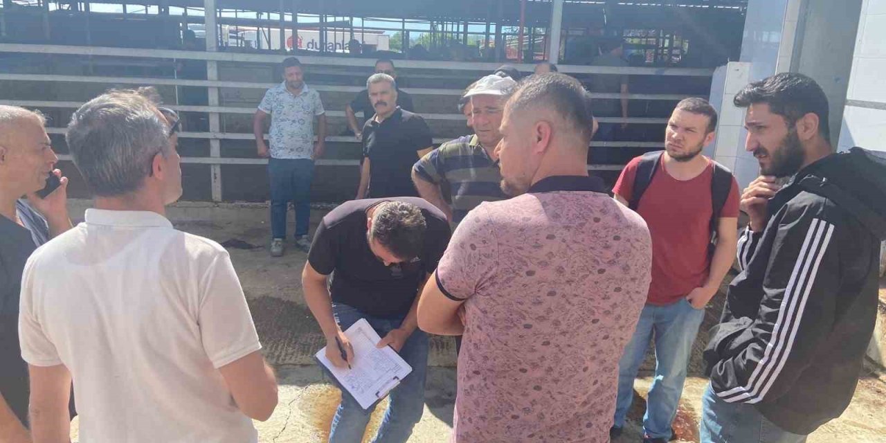 Sertifika alan 15 kursiyer Kurban Bayramında saha olacak