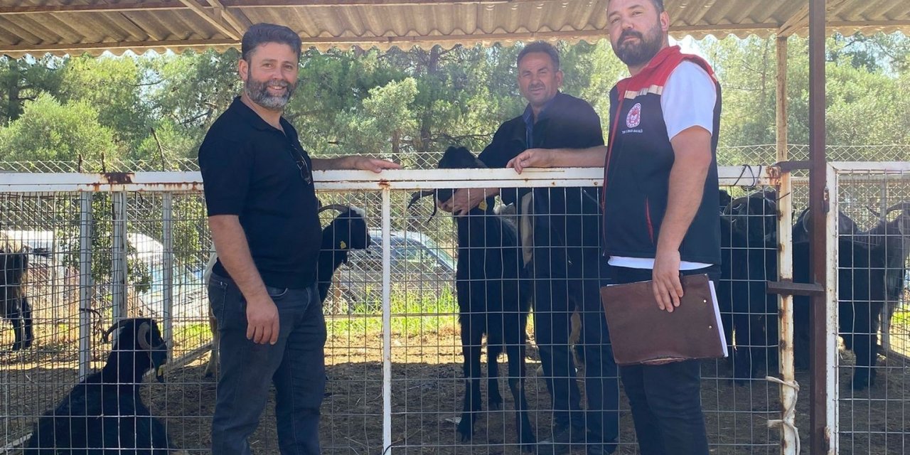 Karacasu’da kurban satış yerleri denetlendi