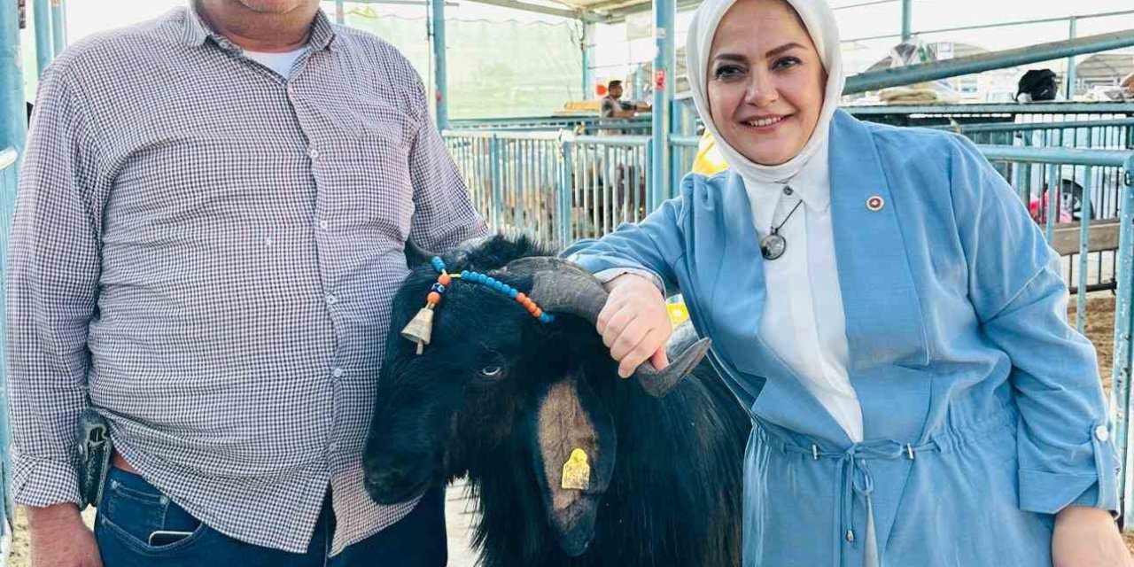 Milletvekili Sema Silkin Ün kurban pazarında yetiştiricileri dinledi