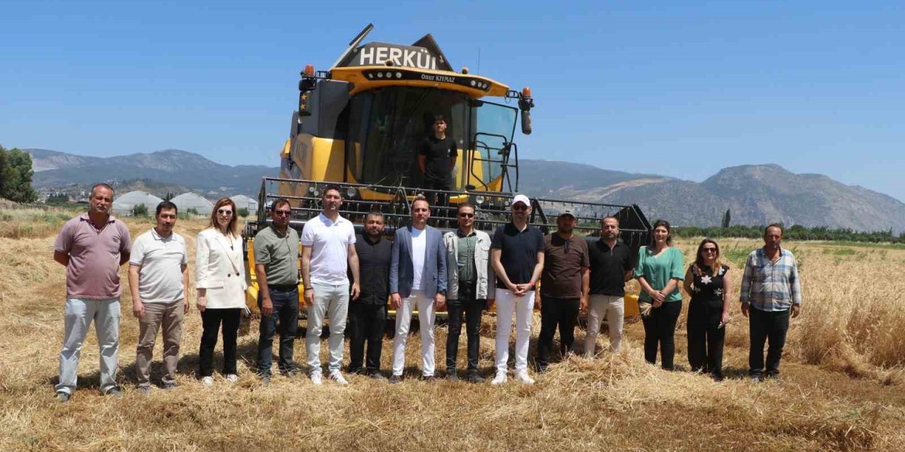 Söke Belediyesi’nde yeni sezonun buğday hasadı