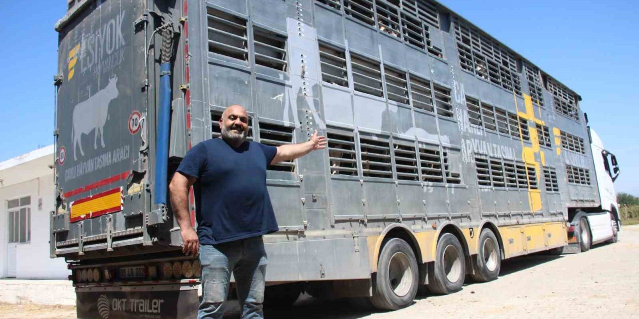 Türk mühendislerin tasarladığı bu araçla, canlı hayvan naklinde 5 yıldızlı konfor dönemi başladı