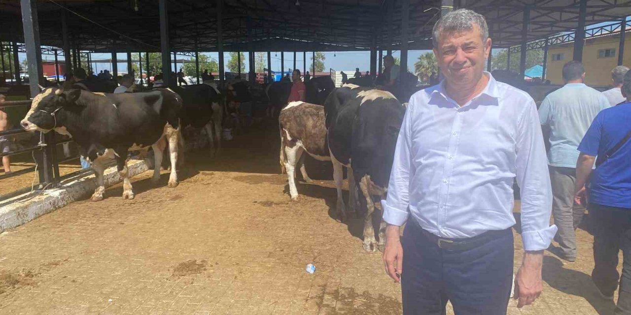 Başkan Künkcü hayvan pazarına indi