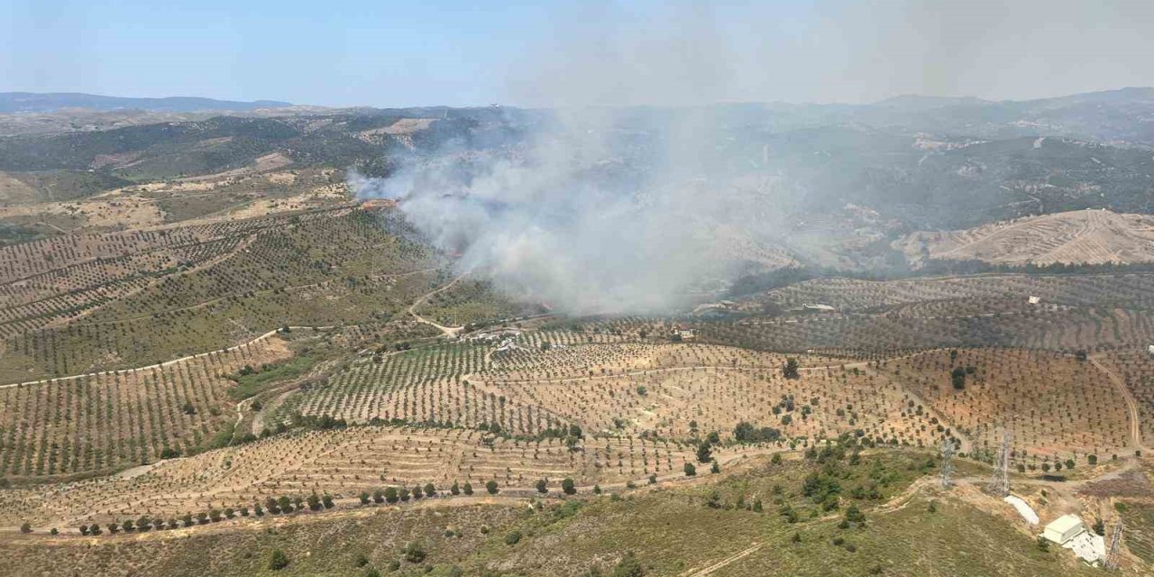 İzmir’de ormanlık alanda yangına havadan ve karadan müdahale başladı