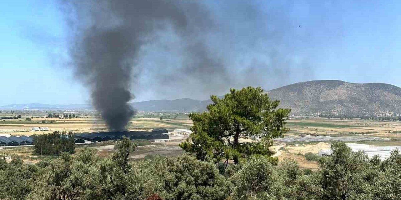 Milas’ta Balık Üretim Tesisi’nde yangın paniği
