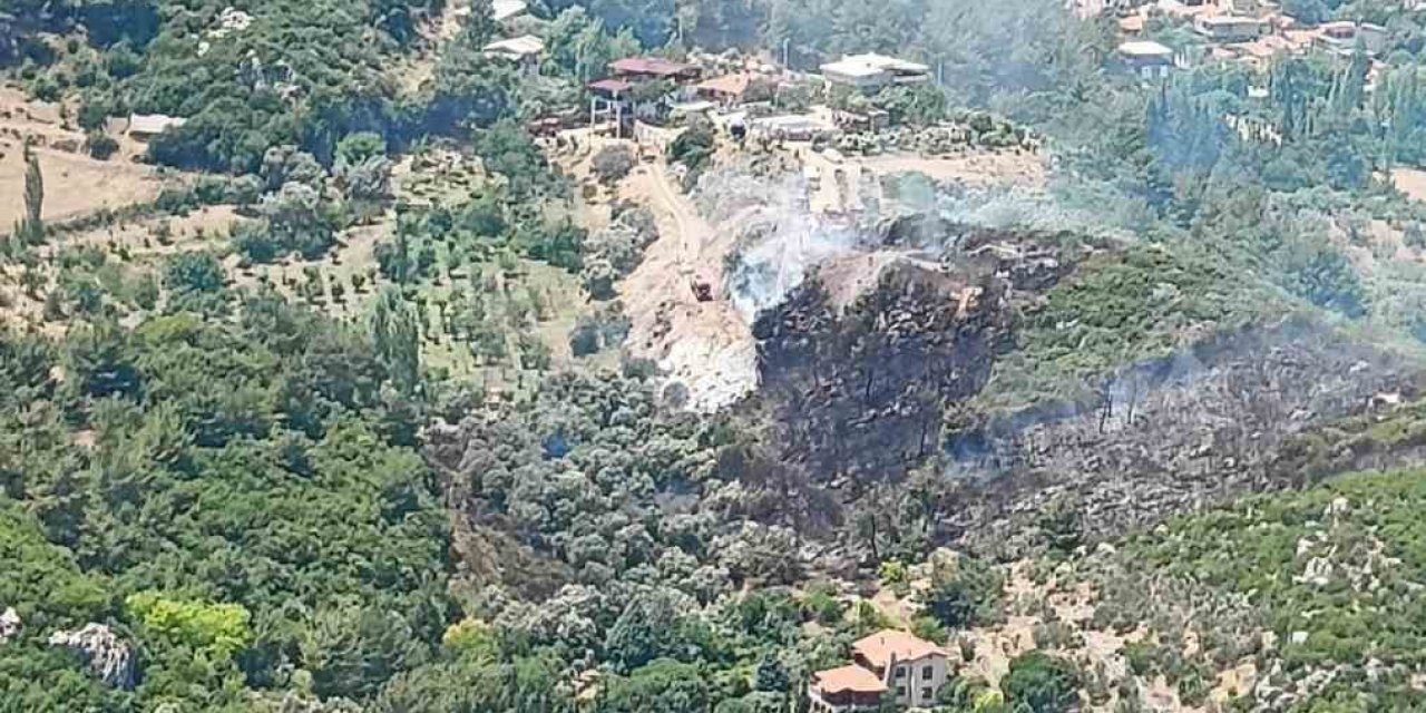 İzmir Kemalpaşa’da orman yangını