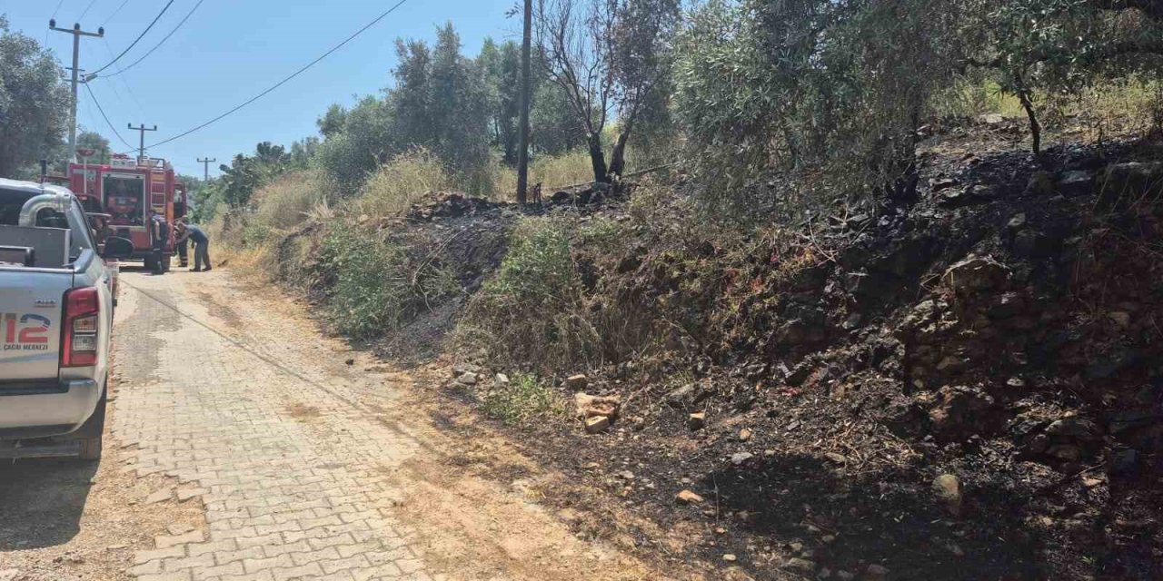 Ula’da yol kenarında çıkan yangın korkuttu