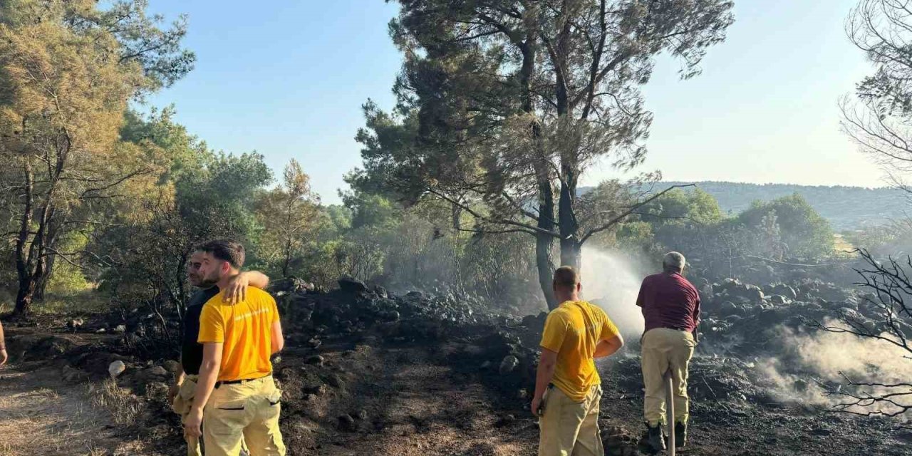 Mangal yakarak orman yangınına neden olan şahıs tutuklandı
