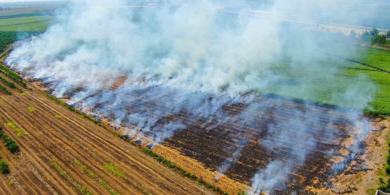 Karacasu Kaymakamlığı’ndan anız uyarısı