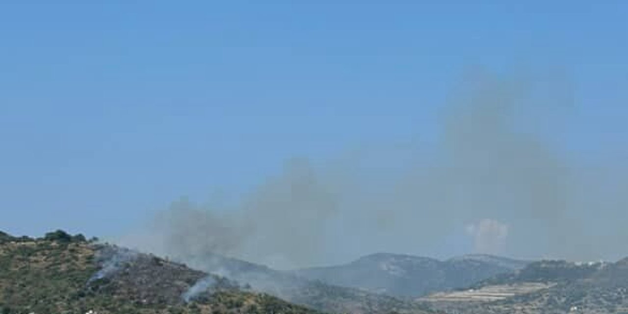 Bodrum’da makilik alanda yangın çıktı