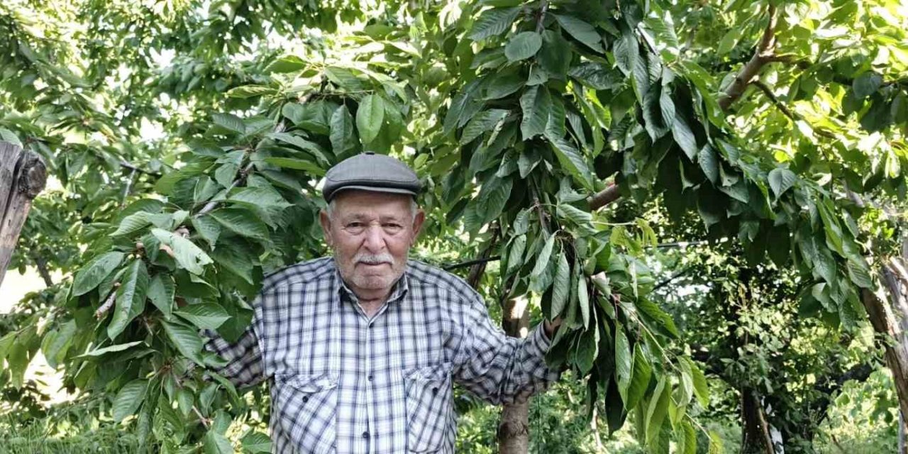 Ege bu yıl meyveye hasret