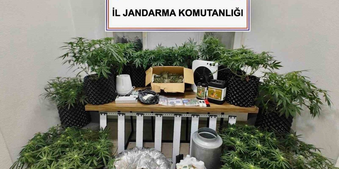 Bodrum’da uyuşturucu baskını: 2 gözaltı