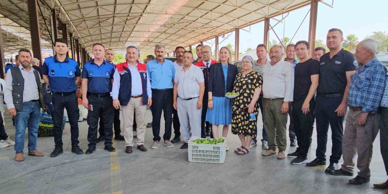 Nazilli’de kaliteli incir için kaliteli ilek denetimleri sürüyor