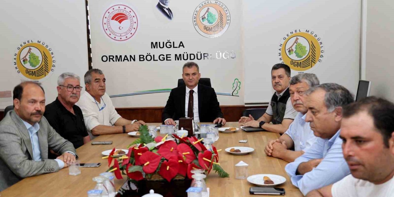 Muğla’da orman kooperatifleriyle değerlendirme toplantısı yapıldı