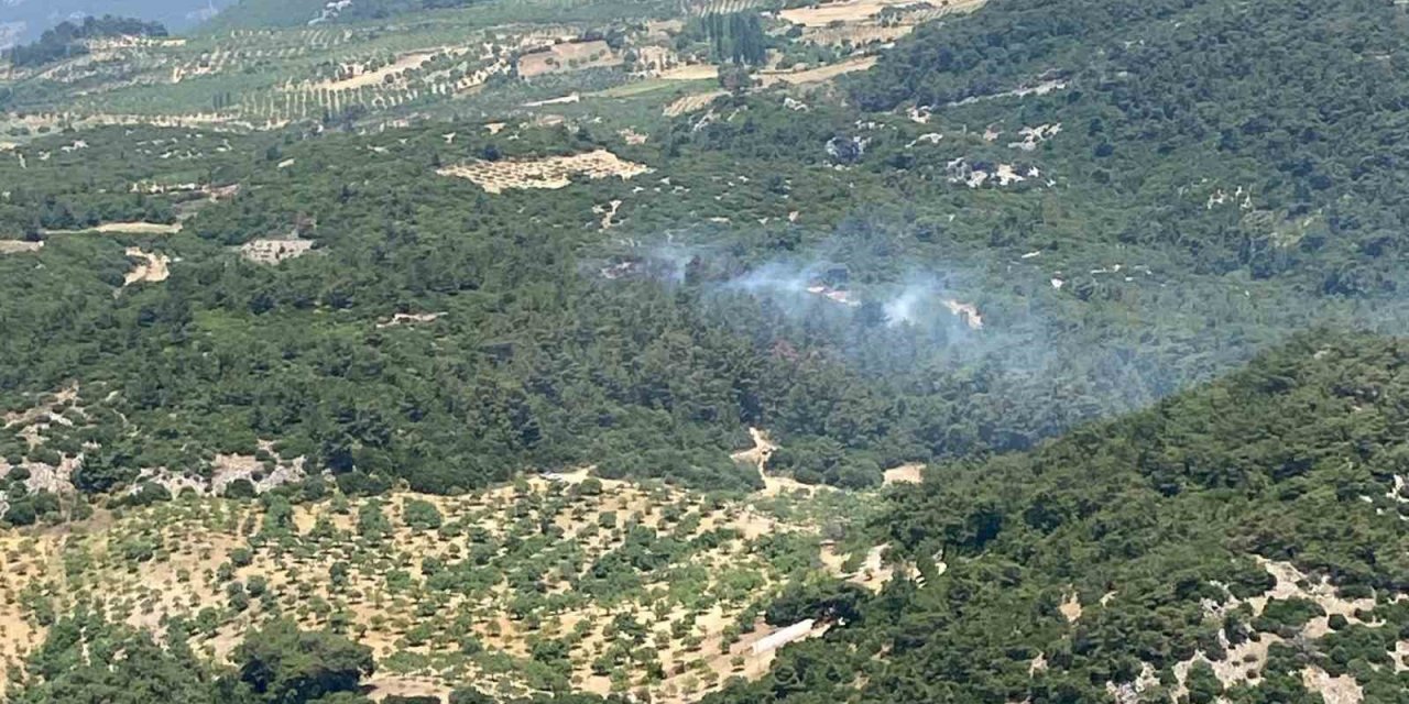 Aydın’daki orman yangını kontrol altına alındı