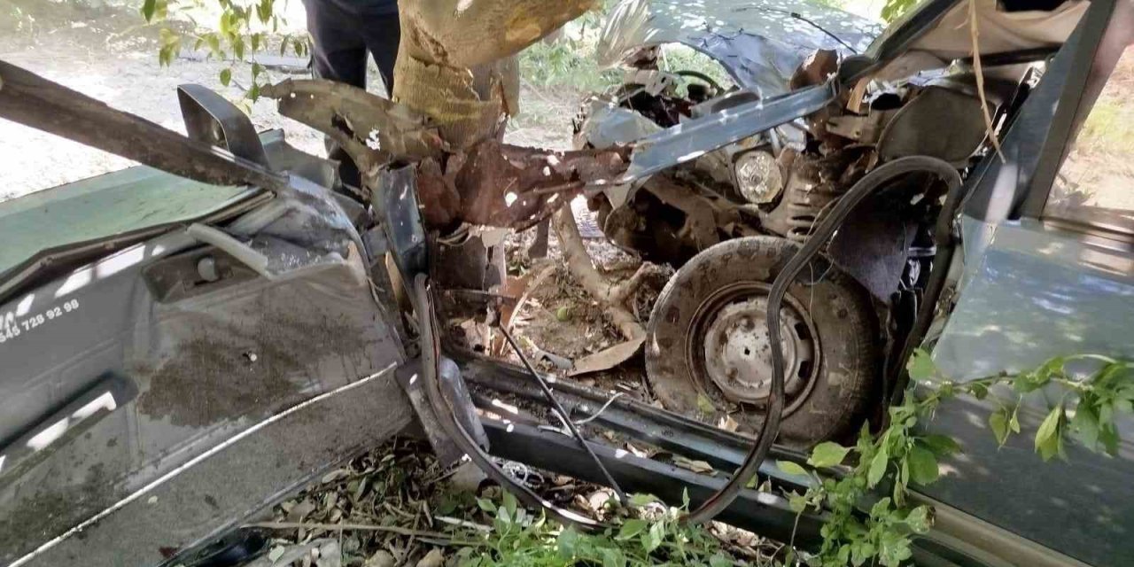 Yoldan çıkan otomobil ağaca çarptı: 1 yaralı