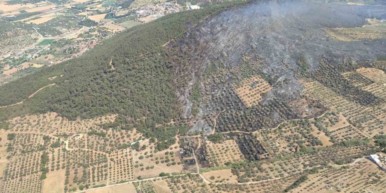 Foça’da ormanlık alanda çıkan yangın kontrol altında