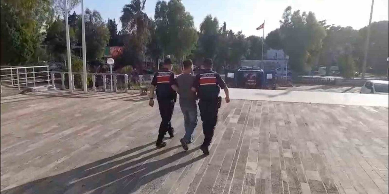 Foça’daki orman yangınıyla ilgili 1 tutuklama