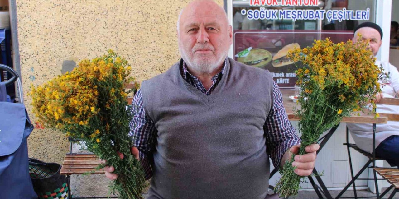 Bu çiçek hediye için değil sağlık için alınıyor