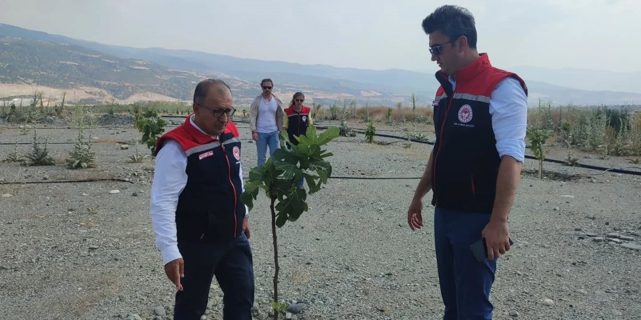 Aydın’da incir üretimine kalite katacak proje denetlendi