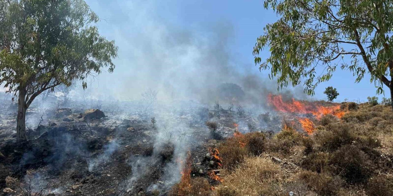 Bodrum Türkbükü’nde makilik yangını