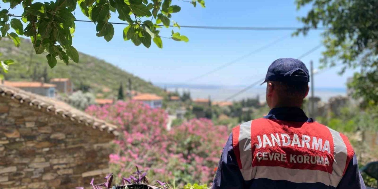 Doğanbey’de orman yangınlarına dikkat çekildi
