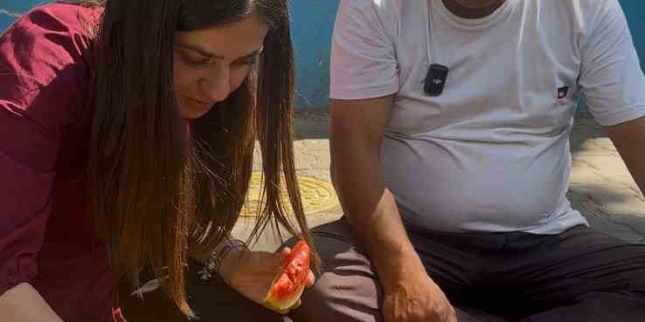 Aydın’da yapay zeka testi, yapay zeka karpuz seçiminde sınıfta kaldı