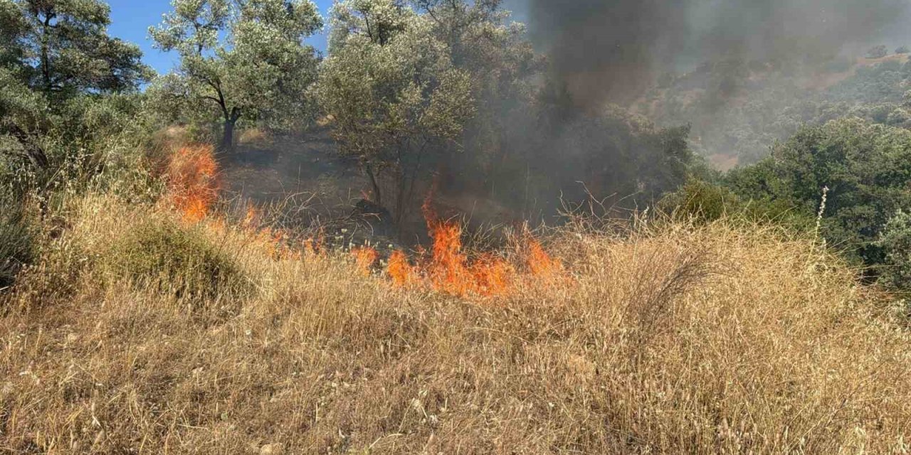 Aydın’da zirai alanda yangın çıktı