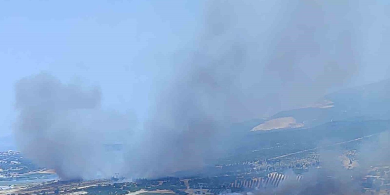 İzmir’de ormanlık alanda çıkan yangın kontrol altında