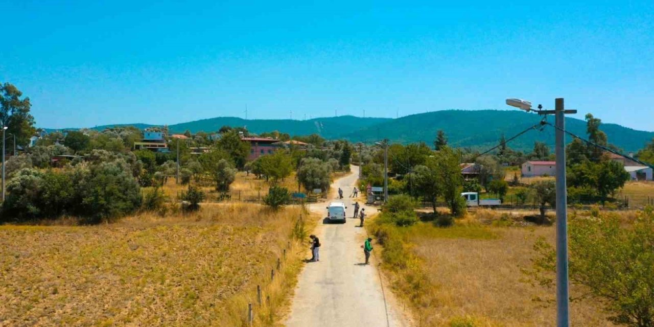 Ot temizliği ve budama çalışmaları devam ediyor