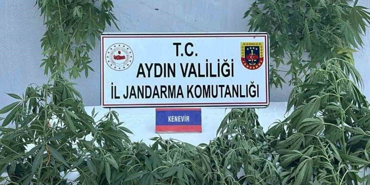 Jandarmada uyuşturucu operasyonu: 16 gözaltı