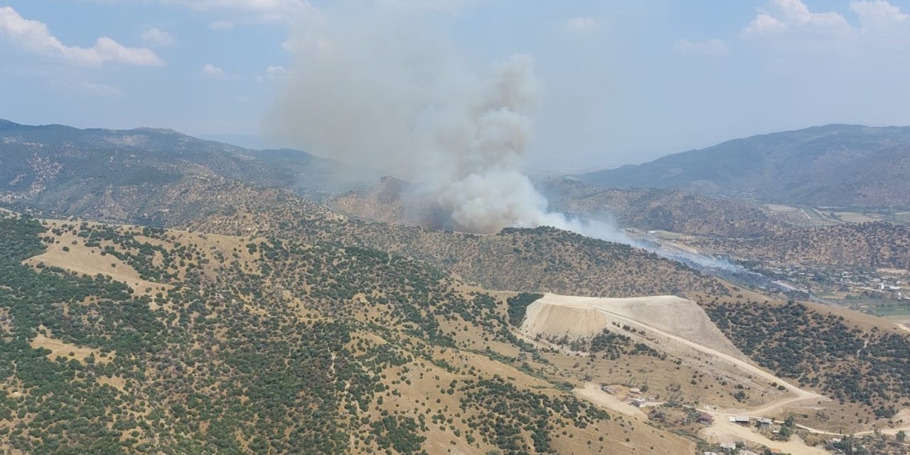 Aydın’da zirai alan yangını