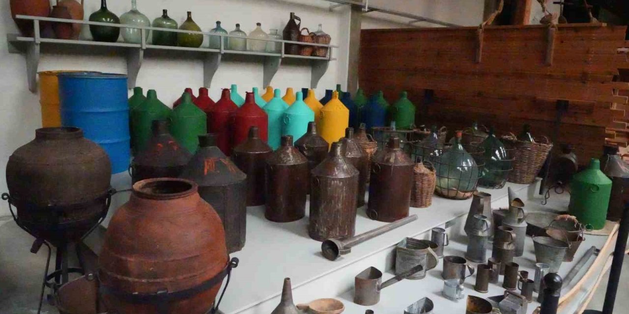 Anadolu zeytin kültürü dünyanın en büyük müzesinde yaşatılıyor