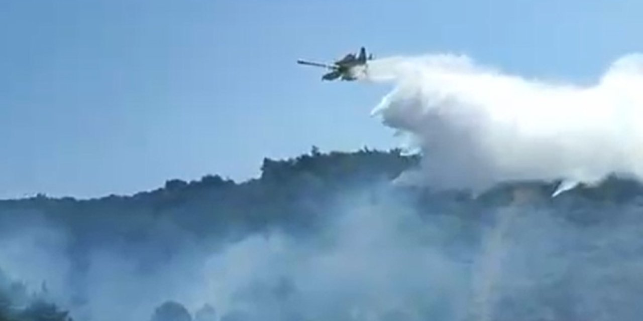 Kuşadası’nda orman yangını