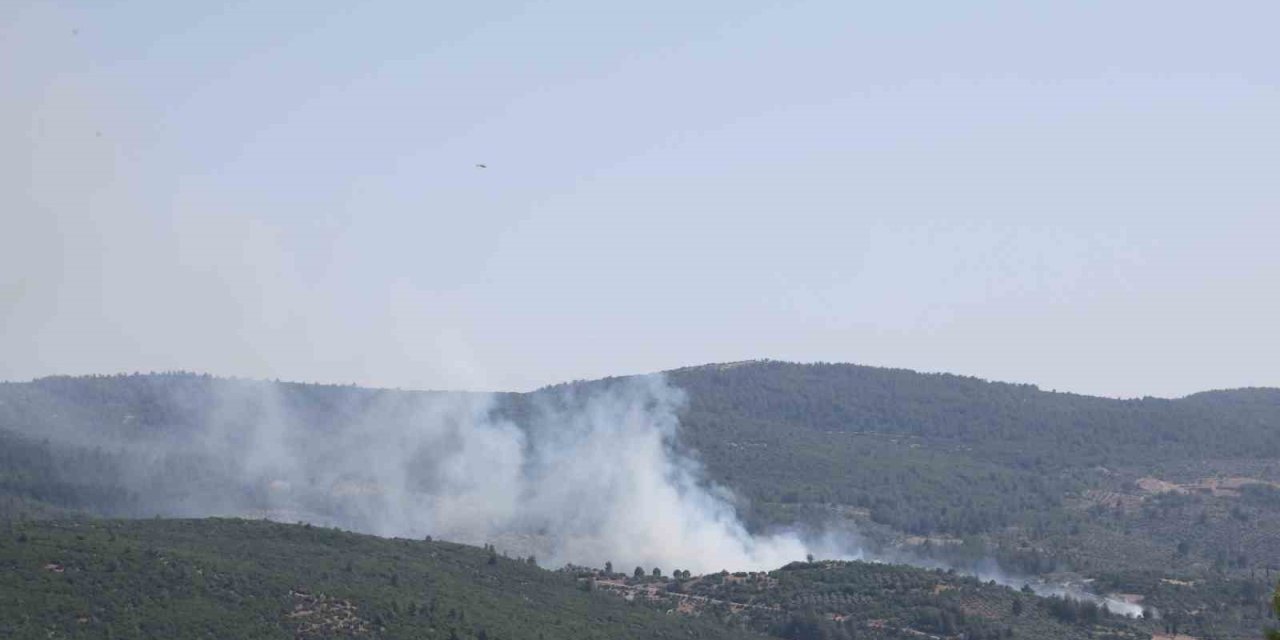 Menteşe’de çıkan yangın kontrol altına alındı