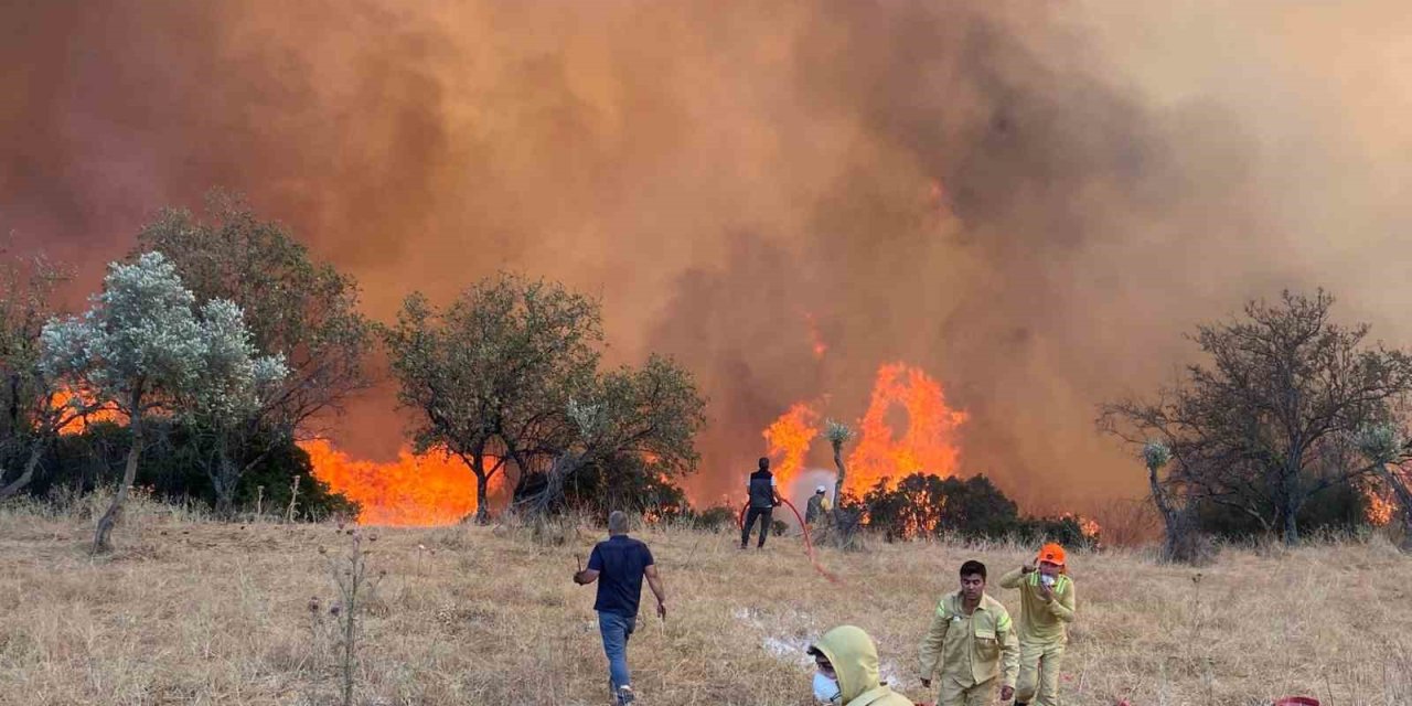Aydın’da hafta sonu 11 yangın çıktı