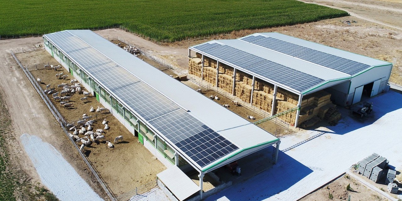 Denizli tarımına 87.4 milyonluk destek