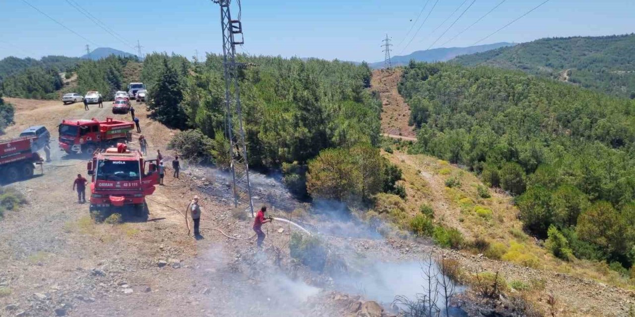Marmaris’teki orman yangını büyümeden söndürüldü