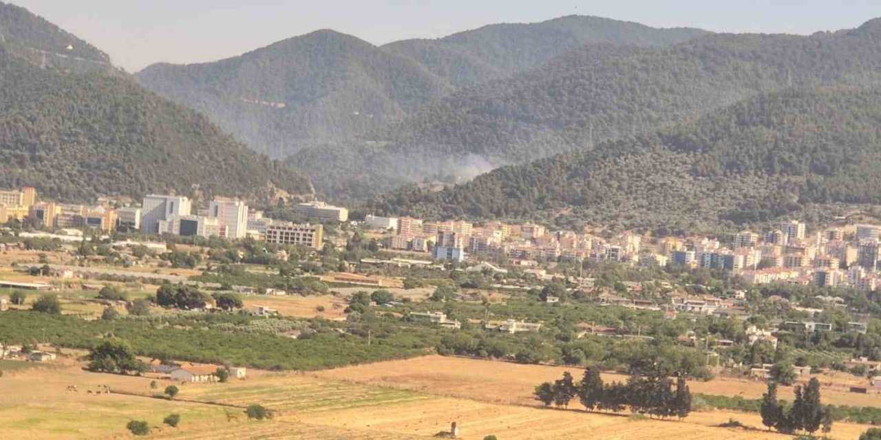 İzmir’de orman yangını: Müdahale sürüyor