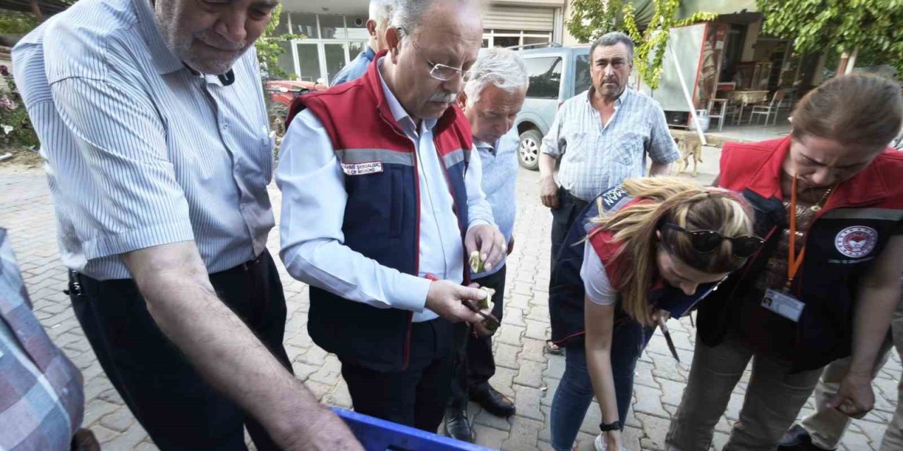 Karacasu’da üreticiye kaliteli ilek uyarısı