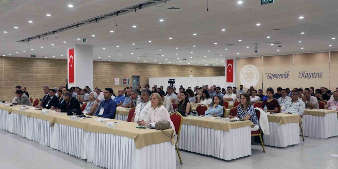 Muğla’da şehir merkezlerine kadar inen yaban domuzlarına çare aranıyor