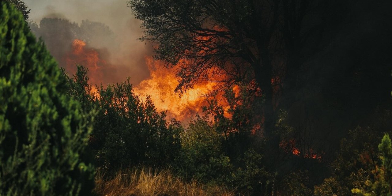 Aydın’da çiftçilere yangın uyarısı: Hasatta tedbirli olun