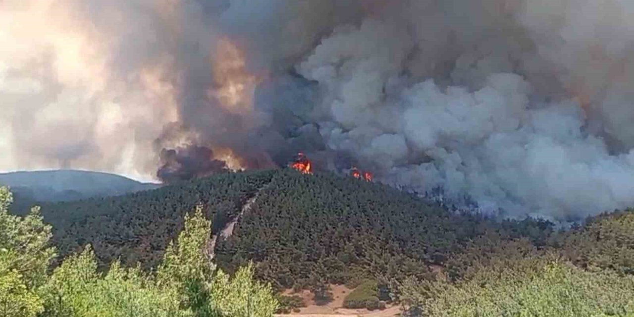 Foça’da orman yangınına havadan 11 uçakla müdahale
