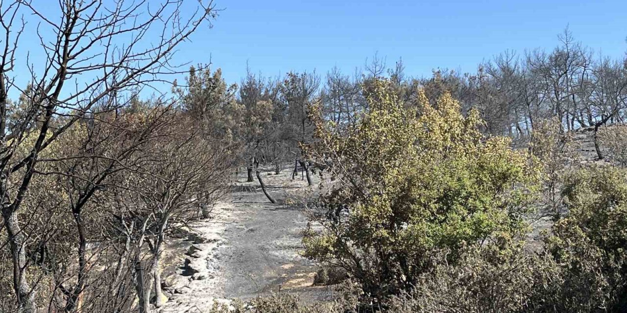 İzmir Aliağa yangını kontrol altında