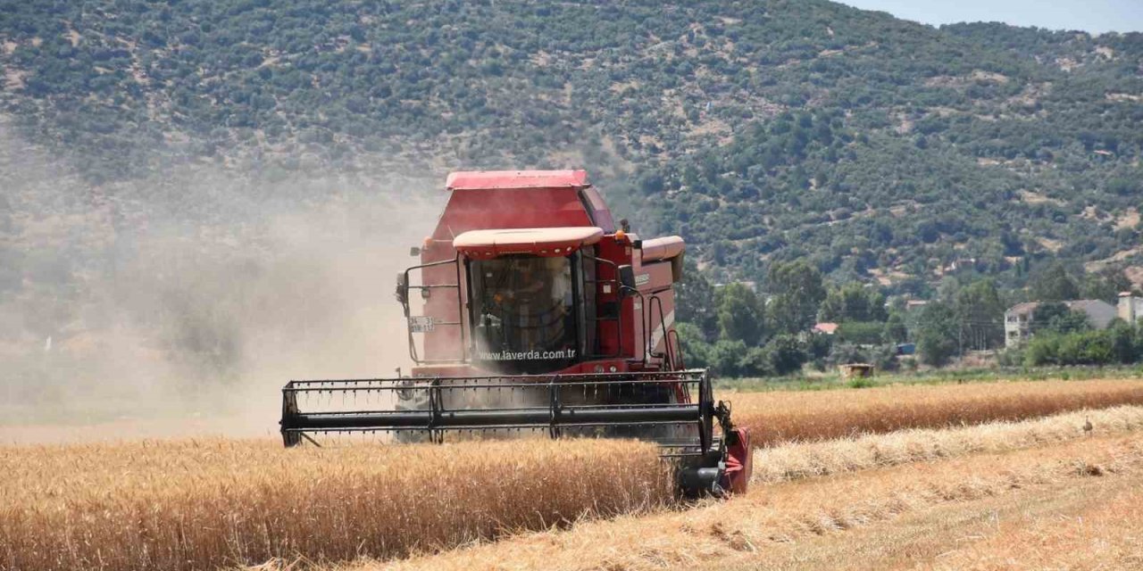Çiftçilerden hayvan üreticilerine kritik uyarı: "Elinizi Çabuk Tutun"