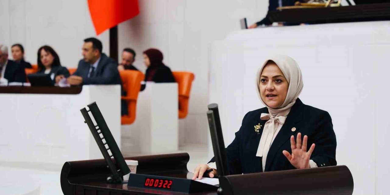 Milletvekili Ün; "İklim kanunu çiftçiye, besiciye darbe vuracak"
